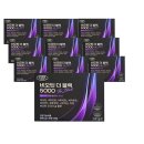 에버그린 이미지