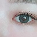 체스어디까지해봤니? | 속눈썹, 어디까지 해봤니? 인생 속눈썹을 찾은 후기