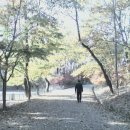 삼천궁녀 이미지