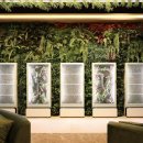 THE골프연습장 이미지