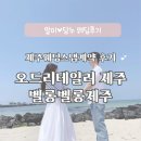 W.20221002 제주스냅 벨롱벨롱제주 오드리테일러 소피토제주 계약 후기