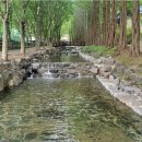 청양시내버스터미널 이미지