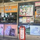 펫마트양천점 | 🐶민생지원금으로 강아지템 털었다! 양천 펫마트 쇼핑 후기🛍