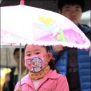 나라안전기술원 이미지