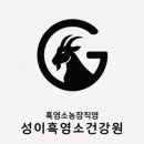 염소경로당 네이버블로그