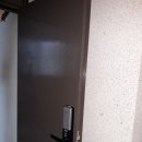 한라동백@ 이미지