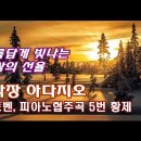 일상감사님신청곡) 베토벤 피아노 협주곡 황제2악장 이미지