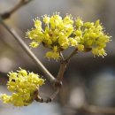 여행스케치B 이미지