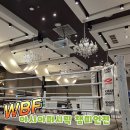 파이팅복싱다이어트 | WBF 아시아퍼시픽 챔피언 타이틀 매치 관람 후기 [울산북구 파이팅복싱]