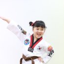 백호태권도 이미지