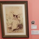 참새비디오감상실 | 루이스 웨인 전시회 고양이를 그린 사랑의 화가 관람 후기