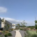 프로퍼밀도 이미지