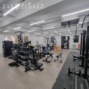 소나무 휘트니스 이미지