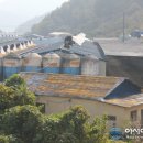 점용축사 이미지