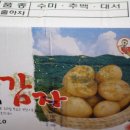 닭키우는 회장님 이미지