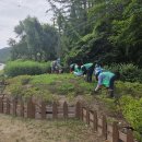 새마을로 이미지