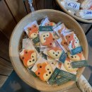 로얄카 | 캐나다 로키산맥 3박4일 로얄투어 2일차 후기 1 (아싸바스카 폭포, 콜롬비아 아이스필드 설상차 체험...