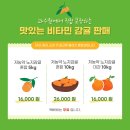 옥금농장 네이버블로그