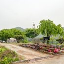 프레쉬 힐 이미지