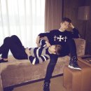 도그(DOGUE) 이미지