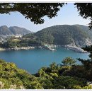 바람의언덕길 이미지