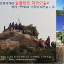 럼플란트치과의원 이미지