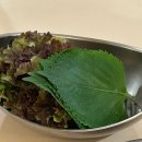 삼우정 - 중구 서소문로 134-12 | 잠실 롯데백화점 불고기 맛집 ‘삼우정’ 존맛 추천 후기!!