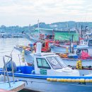 평화어시장횟집 | 울진 죽변항 동해바다여행 : 경북울진가볼만한곳 동해일출명소