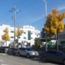 내서읍122 이미지