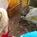 정수농장 이미지