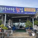 보목바다나라횟집 | 제주 자리물회 맛집 바다나라 횟집 : 보목포구, 보목동, 된장 물회를 드셔보셨나요 🤤