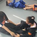 백마 합기도 이미지