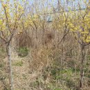 하민농장 이미지