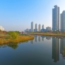 테마투어(해양생태 체험) 네이버블로그