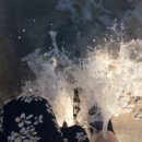 스테이 위드 세화 이미지