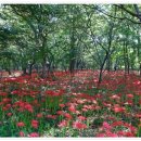 이중앙 행정사사무소 이미지