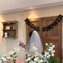 스테이 소롯 이미지