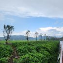 기흥호수공원 이미지