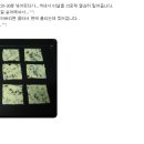 크레커 이미지