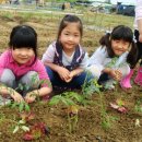 밀알농장 이미지