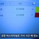 사람도 날씨도 따뜻했던 마산 여행(feat. 마산 가고파 국화축제)
