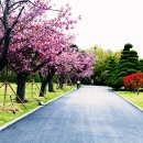 유엔기념공원주차장 이미지