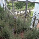 하누리농장 이미지