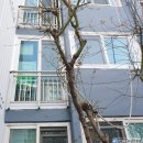 양재우성아파트 이미지