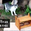 고양이발자국 이미지