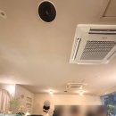 부산광역시 영도구 태종로 | 부산 영도구 태종로 아르프 방문기(내 돈 내산)