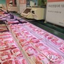 49돼지 이미지