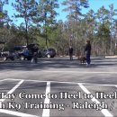 Off Leash K9 Training 님의 5yo Jack Russell Terrier "Tay" Before and After - Small Dog Training Raleigh/Durham (5살 잭 러셀 테리어 "테이" 전과 후) 이미지