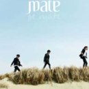 MATE(메이트) 이미지