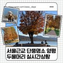 원주시 관광안내소 | &lt;양평&gt;단풍 명소 두물머리 애견 동반 방문 후기, 주차장 꿀팁, 단풍 실시간